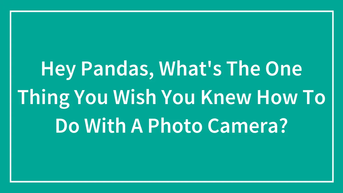 Hey Pandas, What's The One Thing You Wish You Knew How To Do With A Photo Camera? (Closed)