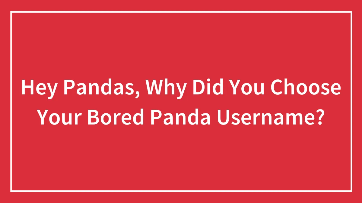 Hey Pandas, Why Did You Choose Your Bored Panda Username? (Closed)