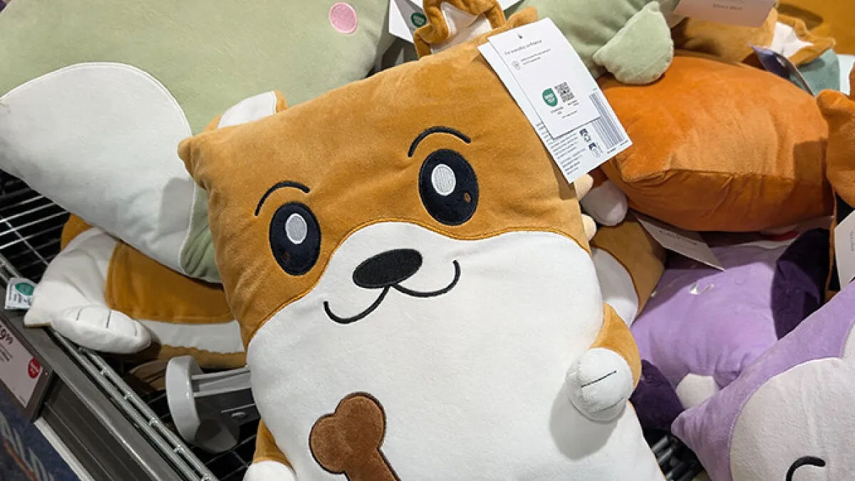 "Someone's Getting Fired": Kids' Toy Leaves People Screaming "Inappropriate" As Photo Goes Viral