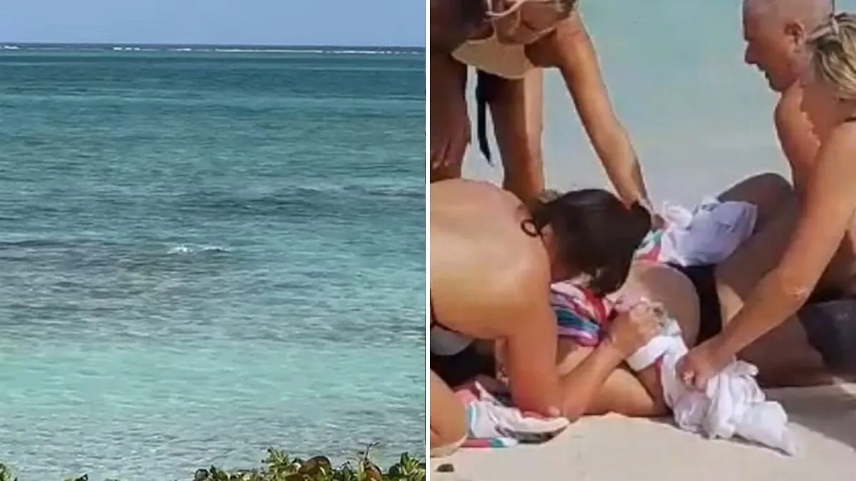 Woman Gets Her Hands Bitten Off By Shark After Attempting To "Engage" With The Animal For A Photo