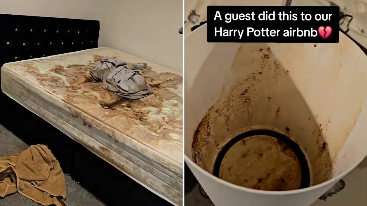 "Sue Them": Owner Of Harry Potter BnB Left Heartbroken After Guests Left It In Terrible Conditions