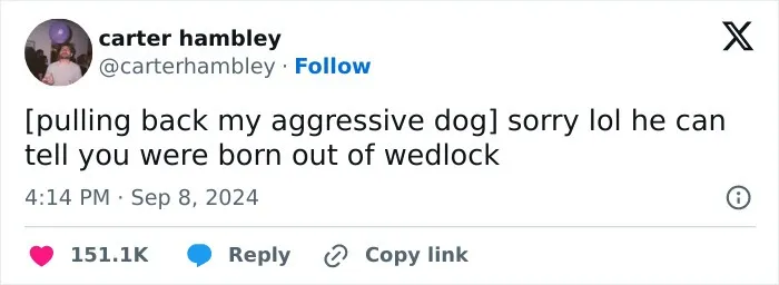 Funny puncrastination meme: person apologizing for their aggressive dog, implying it knows others were born out of wedlock.