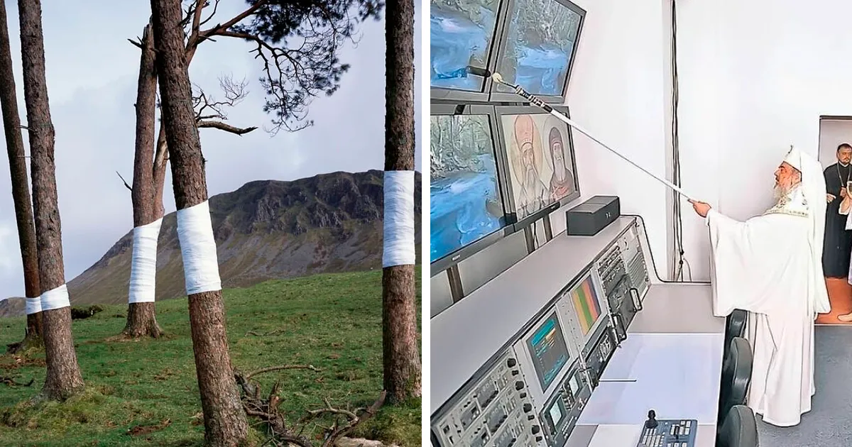 25 Fotos impactantes que demuestran que el mundo es un lugar muy extraño