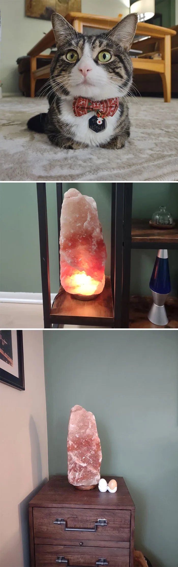 Best Dumpster Finds