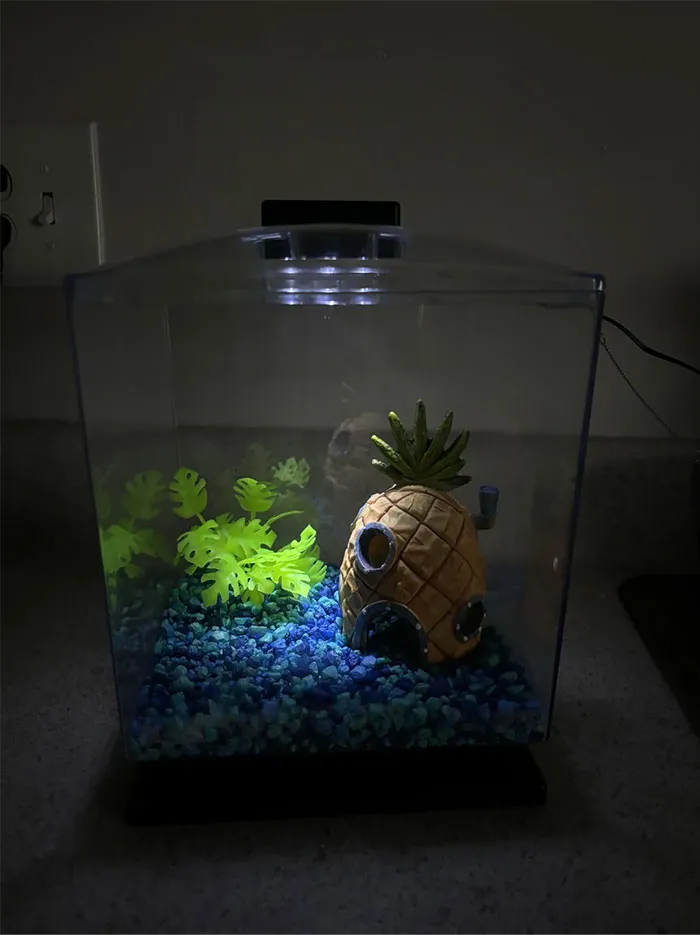 Aquarium with glowing plants and a pineapple house, found while dumpster diving.