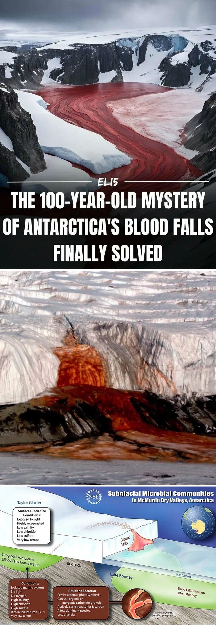 43 Weird Facts Explained In The Simplest Possible Way, Courtesy Of This IG Page 