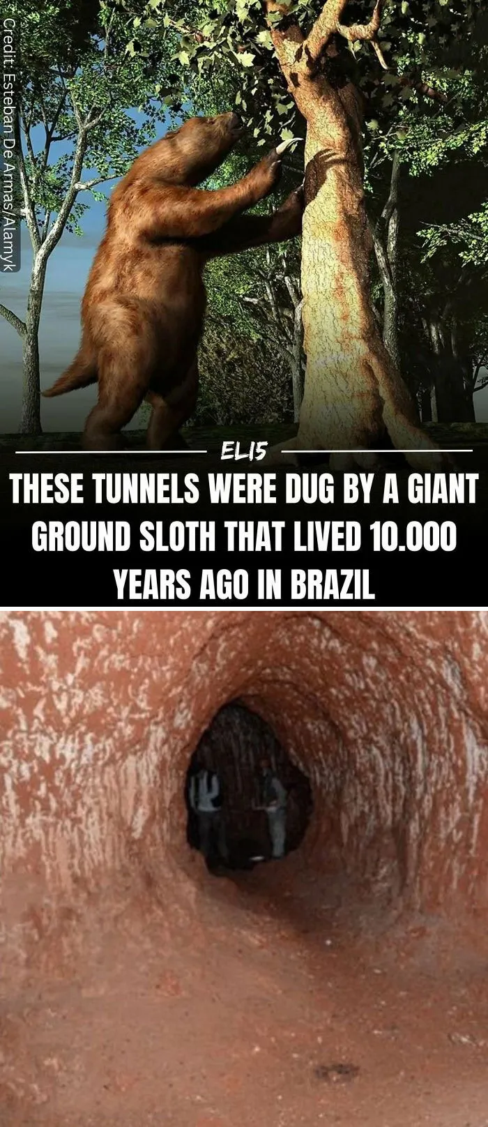 43 Weird Facts Explained In The Simplest Possible Way, Courtesy Of This IG Page 
