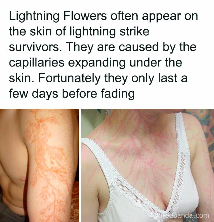 43 Weird Facts Explained In The Simplest Possible Way, Courtesy Of This IG Page 