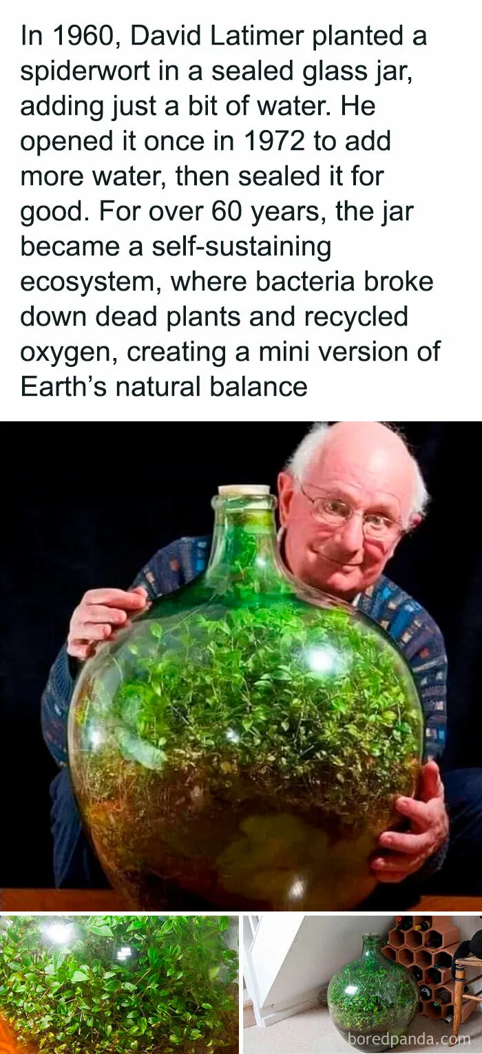 43 Weird Facts Explained In The Simplest Possible Way, Courtesy Of This IG Page 