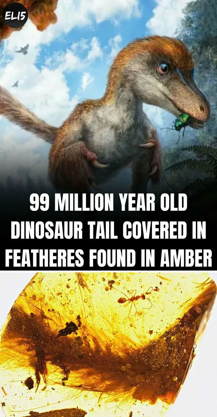 43 Weird Facts Explained In The Simplest Possible Way, Courtesy Of This IG Page 