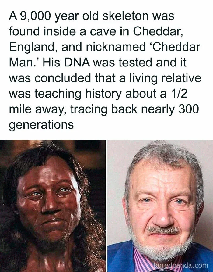 43 Weird Facts Explained In The Simplest Possible Way, Courtesy Of This IG Page 