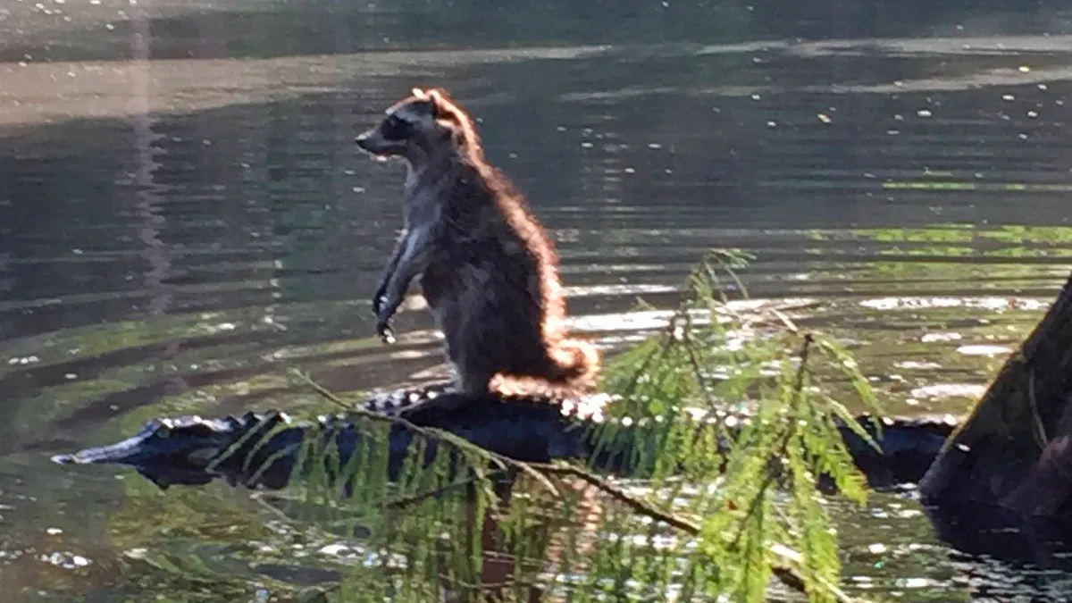 “Only In Florida”: 50 Unhinged Things People Witnessed Happening In The Sunshine State