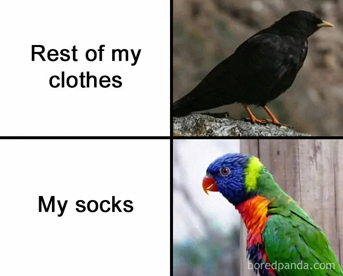 50 Random Funny Memes That You Might Want To Treat Yourself To (New Pics)