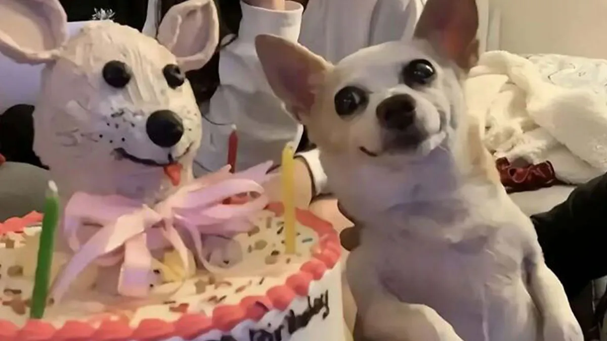 Awkward, Unhinged And Hilarious Animal Pics For Those Who Need A Break From Cuteness