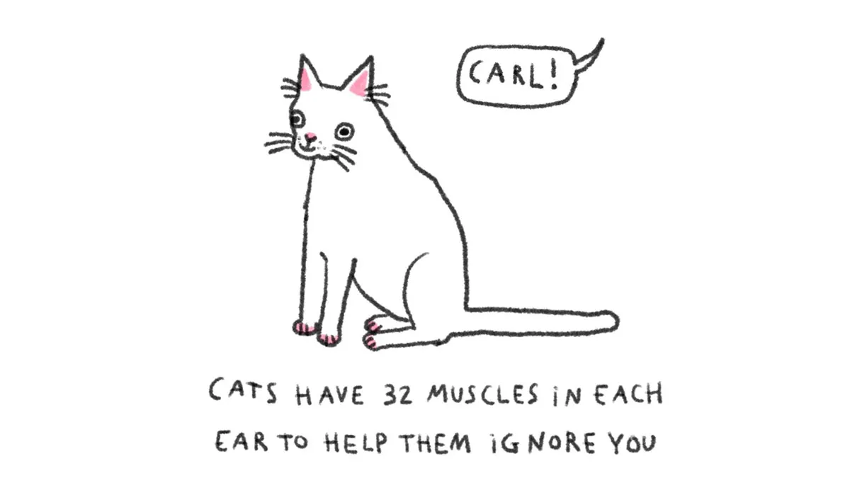 30 Delightfully Silly Animal Illustrations Drawn By This Tattoo Artist