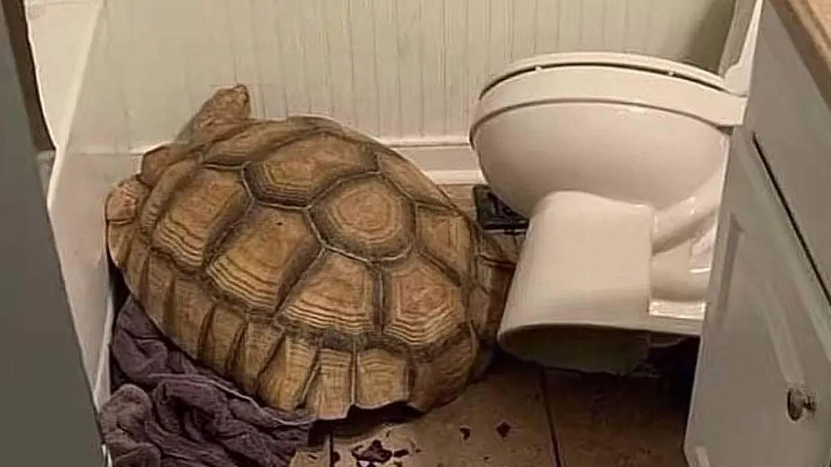 50 Hilarious Animals Who Lost The Plot And Got Caught Going “Goblin Mode” (New Pics)