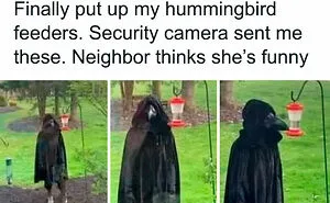 40 Posts Showcasing Examples Of Something That Reached "Boss Level" (New Pics)