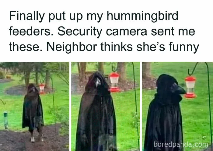 Bird Man, The Feeder Of The Bird Feeder