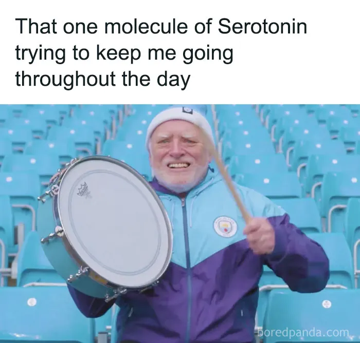 30 Random Memes That Might Help Your Brain Pump Out Some Dopamine