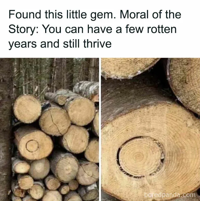 Stacked logs with tree rings, humorous caption about thriving despite imperfect years. Tailored humor for women.