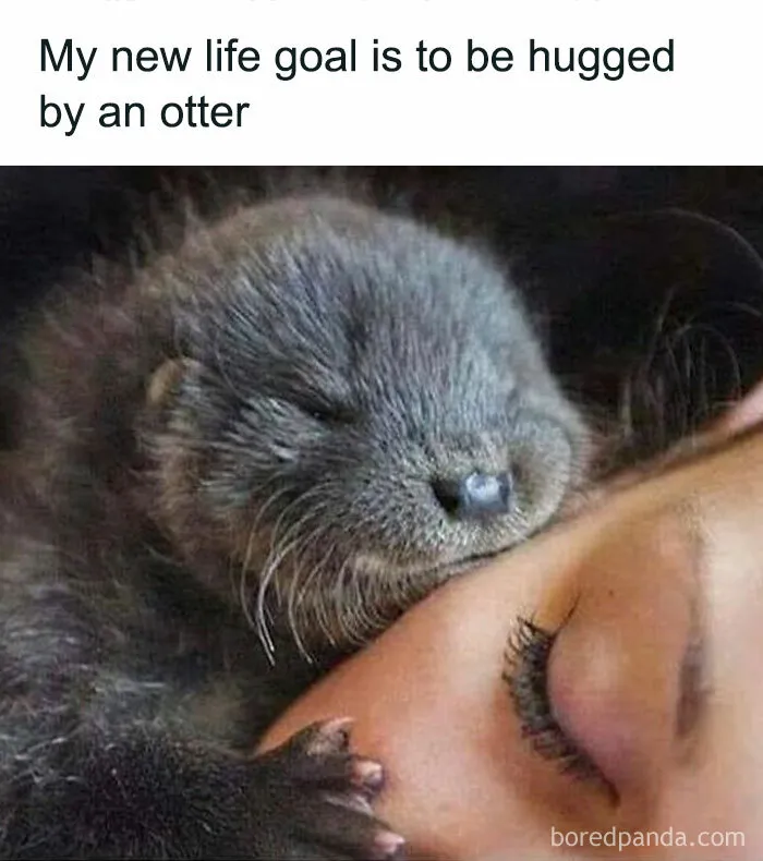 50 Hilarious Memes That Prove Women Have The Best Sense Of Humor (New Pics)