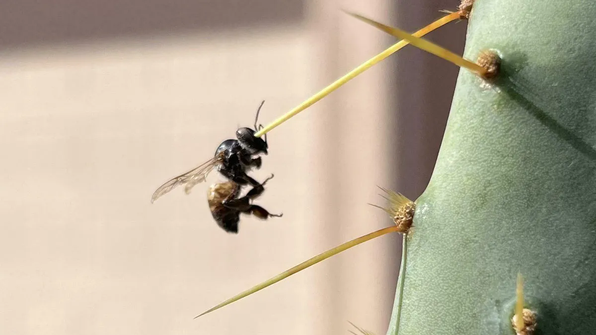 These 50 Mildly Interesting Pics Are Actually Pretty Intriguing (New Pics)