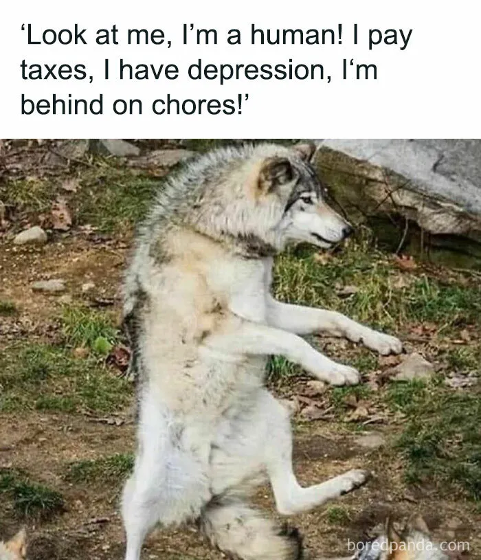 40 Hilariously Relatable Memes That Even Freud Would Appreciate (New Pics)