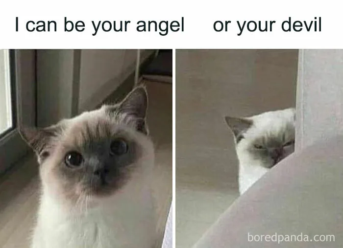 40 Hilariously Relatable Memes That Even Freud Would Appreciate (New Pics)
