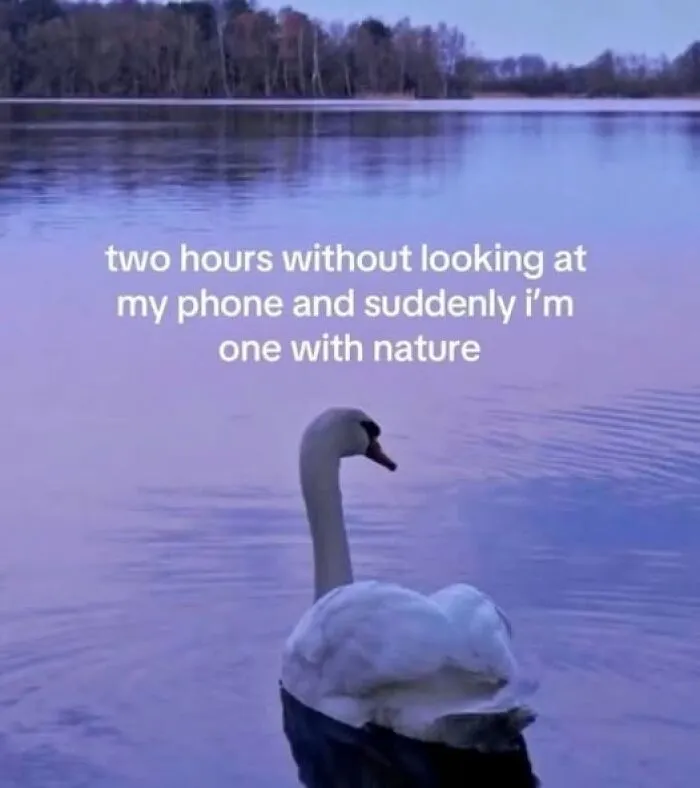 40 Hilariously Relatable Memes That Most Of Us Can Relate To From The "Evil Thoughts" FB Page
