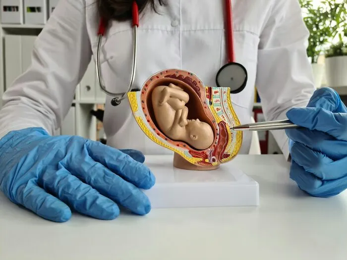 26 Datos curiosos sobre el cuerpo femenino que había que compartir