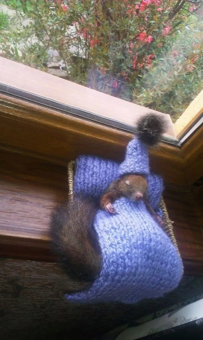 Awkward, Unhinged And Hilarious Animal Pics For Those Who Need A Break From Cuteness