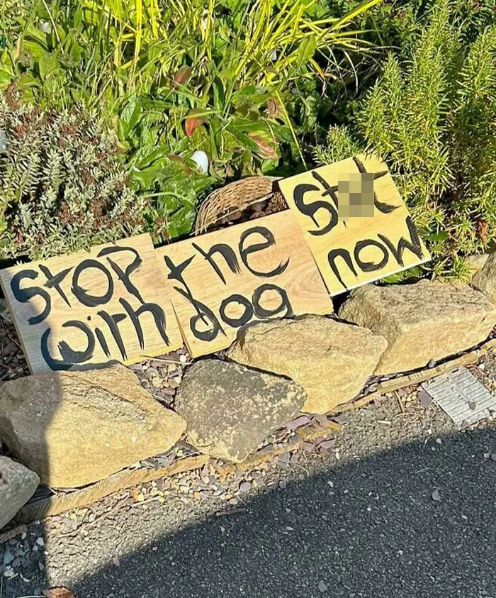 Stop The S**t With Dog Now