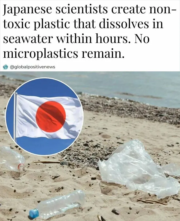 50 Positive Headlines That Might Bring Some Sunshine To Your Day (New Pics)