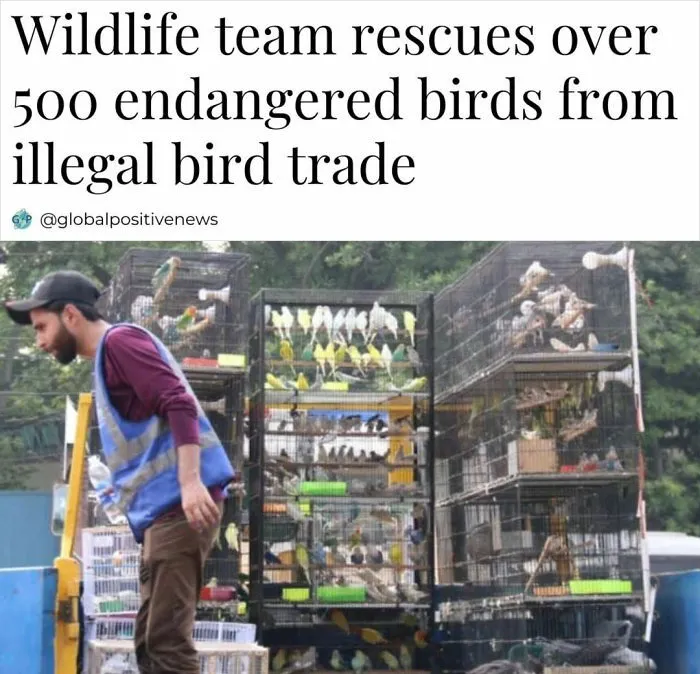50 Positive Headlines That Might Bring Some Sunshine To Your Day (New Pics)