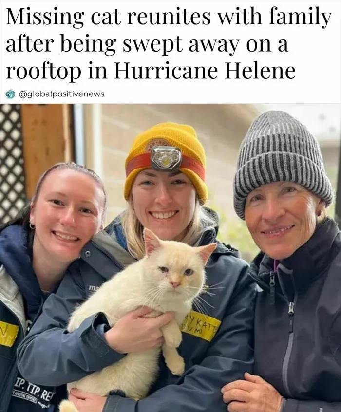 50 Positive Headlines That Might Bring Some Sunshine To Your Day (New Pics)