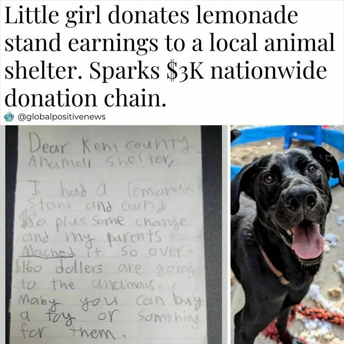 50 Positive Headlines That Might Bring Some Sunshine To Your Day (New Pics)