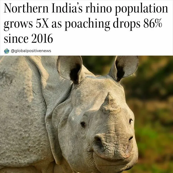 50 Positive Headlines That Might Bring Some Sunshine To Your Day (New Pics)