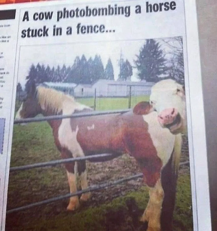 The News Here In Australia