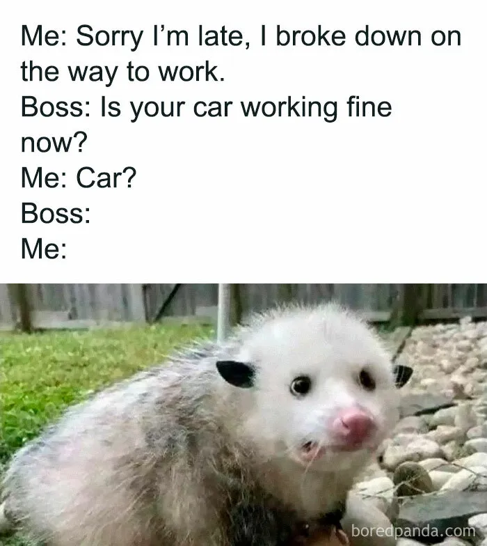 A relatable mental health meme with an image of a surprised possum.