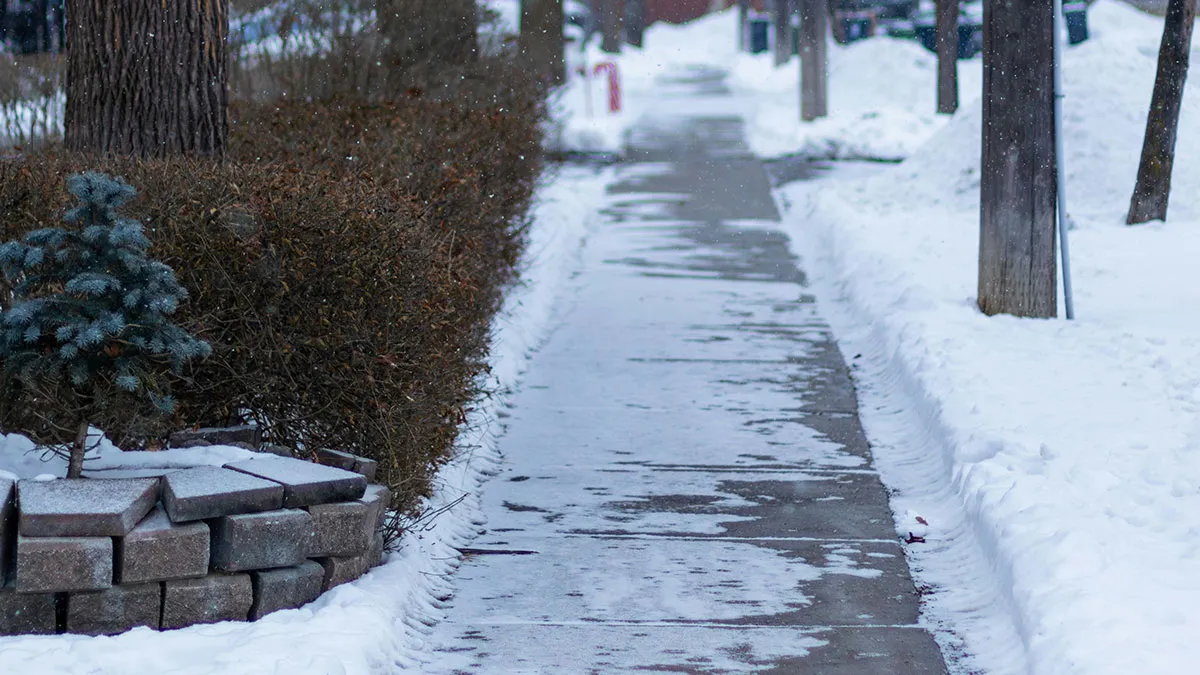 Woman's Icy Revenge On Neighbor Works Wonders