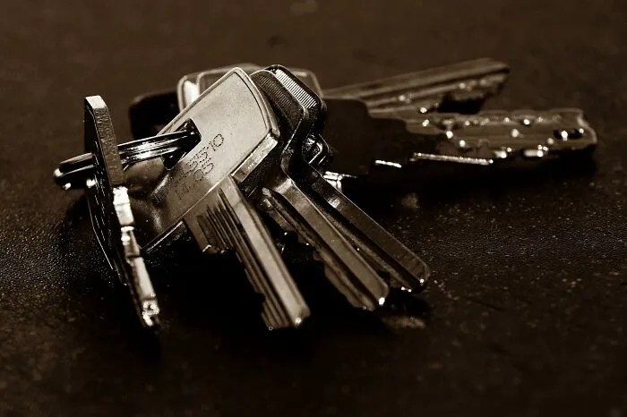 People Online Are Sharing Facts That They Say “Feel Illegal To Know,” And Here Are 27 Of Them