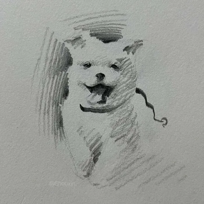 With Just A Few Lines, This Artist Creates Captivating Animal Portraits Full Of Emotion (25 Pics)