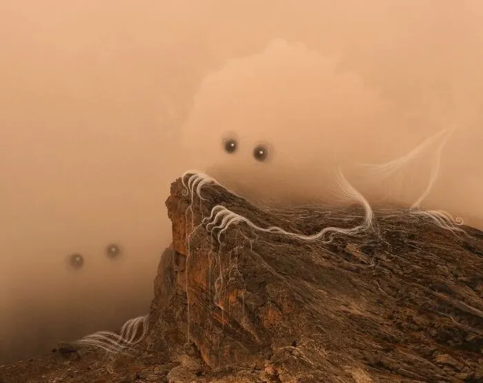 "The Summit"
