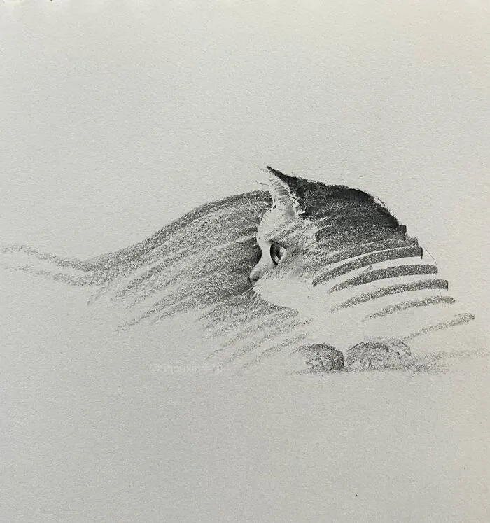 With Just A Few Lines, This Artist Creates Captivating Animal Portraits Full Of Emotion (25 Pics)