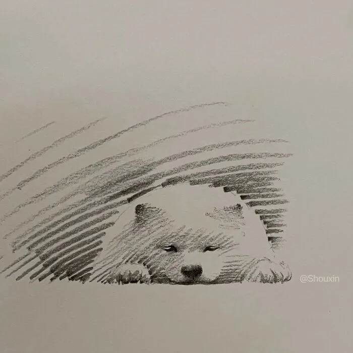 With Just A Few Lines, This Artist Creates Captivating Animal Portraits Full Of Emotion (25 Pics)