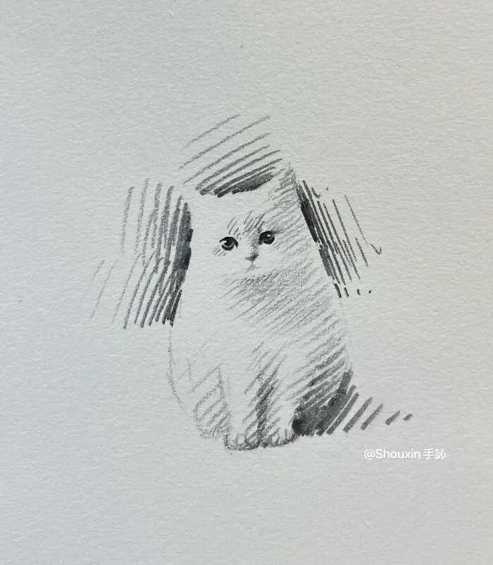 With Just A Few Lines, This Artist Creates Captivating Animal Portraits Full Of Emotion (25 Pics)