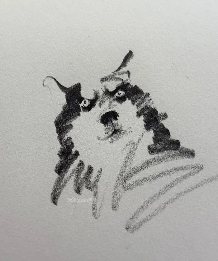 With Just A Few Lines, This Artist Creates Captivating Animal Portraits Full Of Emotion (25 Pics)