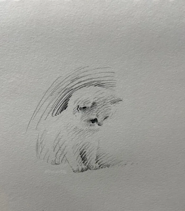 With Just A Few Lines, This Artist Creates Captivating Animal Portraits Full Of Emotion (25 Pics)