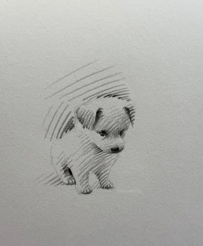 With Just A Few Lines, This Artist Creates Captivating Animal Portraits Full Of Emotion (25 Pics)
