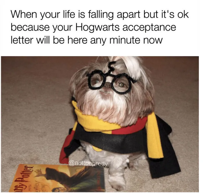 I Collected 16 Relatable Memes